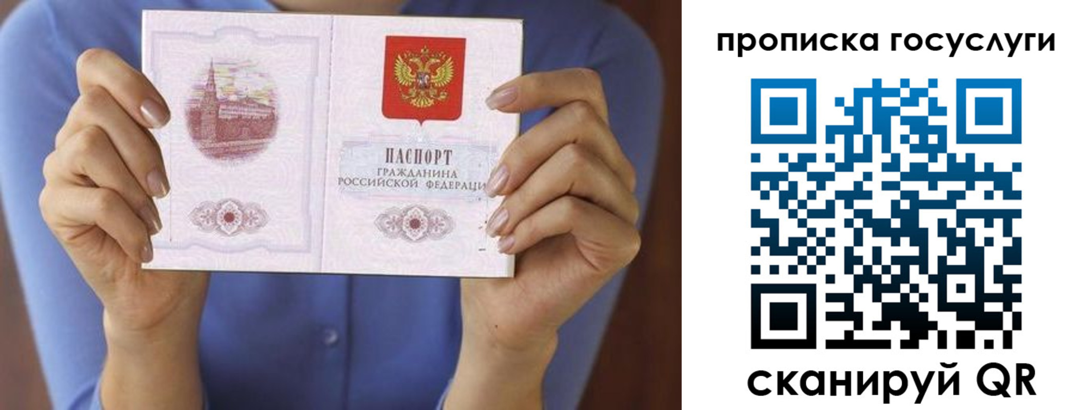 временная регистрация поиск в Домодедово